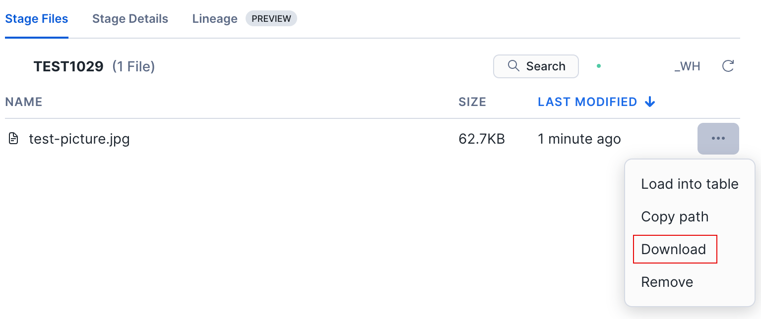 Download file directly from the internal stage in Snowsight