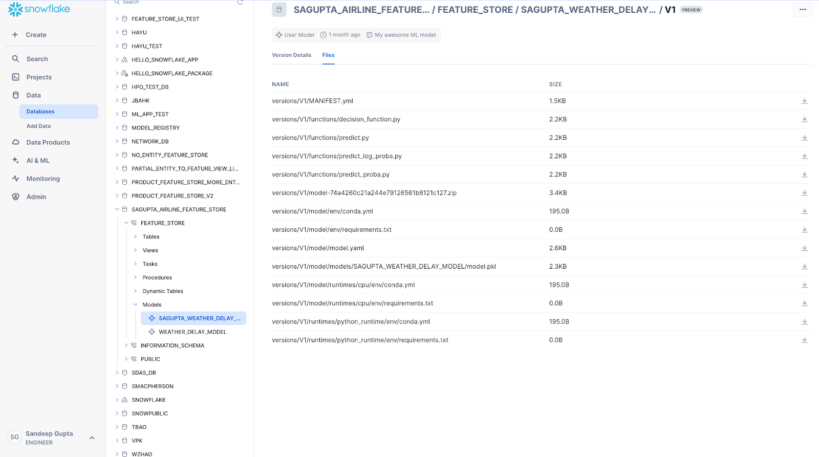 The Files tab of the model versions details page, displaying a list of the artifacts in the model