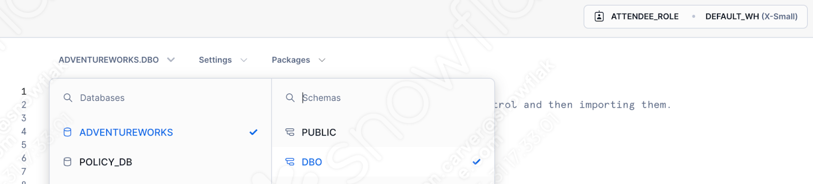 Menu for database and schema