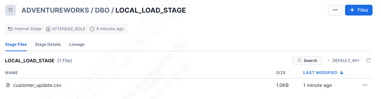 Uploaded file in stage