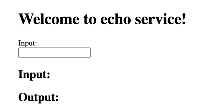 Web form to communicate with echo service.