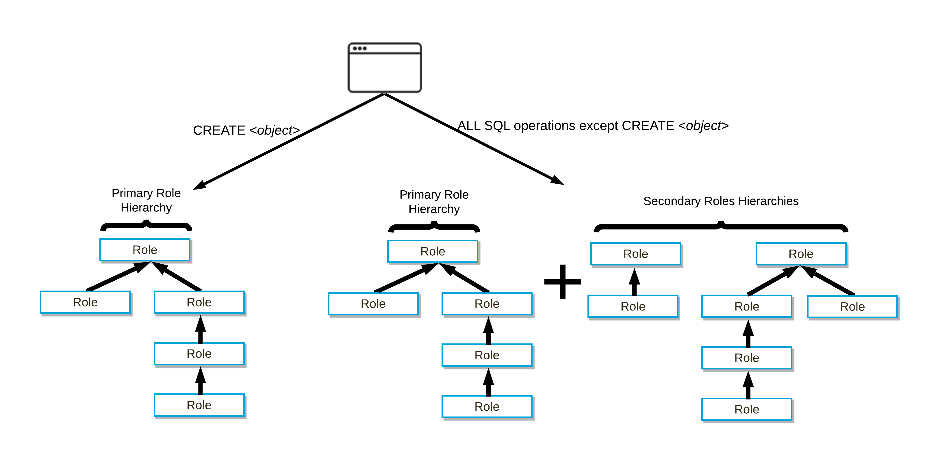 Primary and Secondary Role Operations