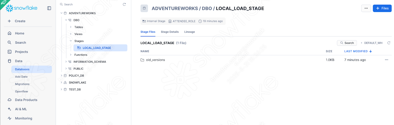 old_versions folder located