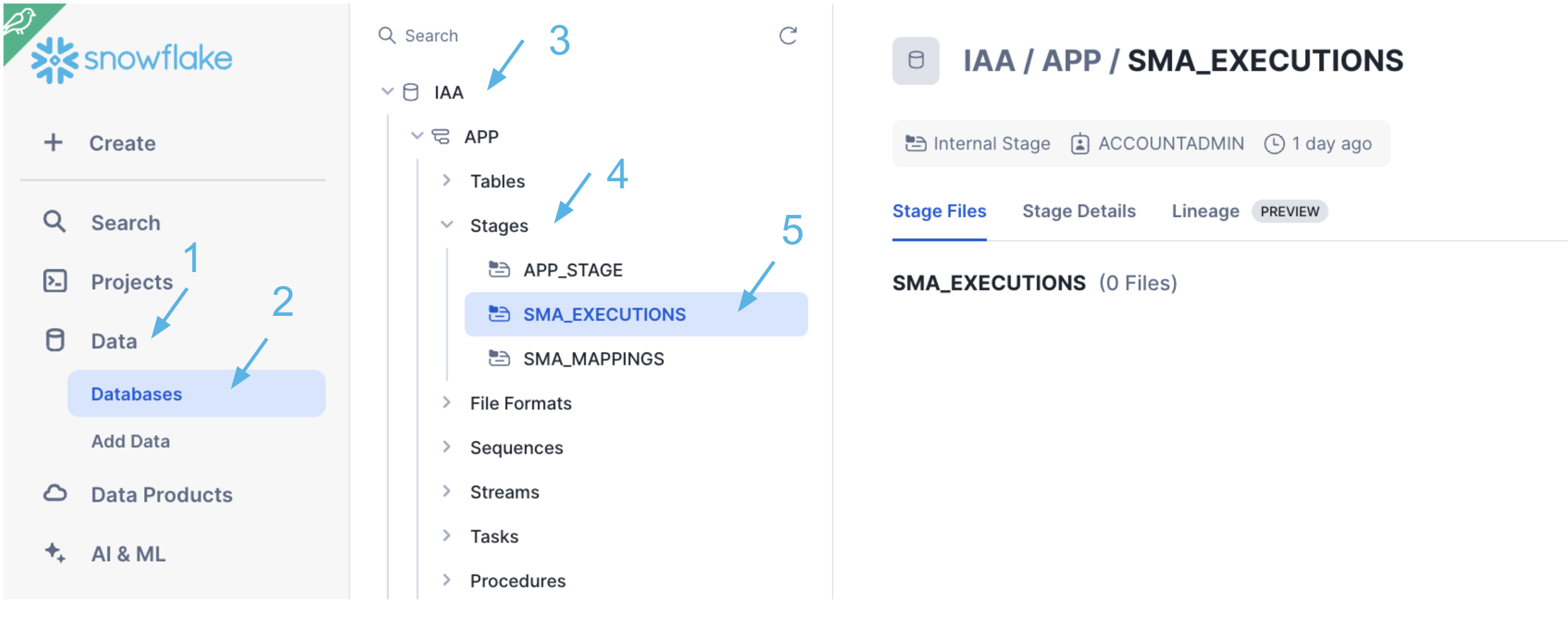 SMA_EXECUTIONS stage in your Snowflake account.