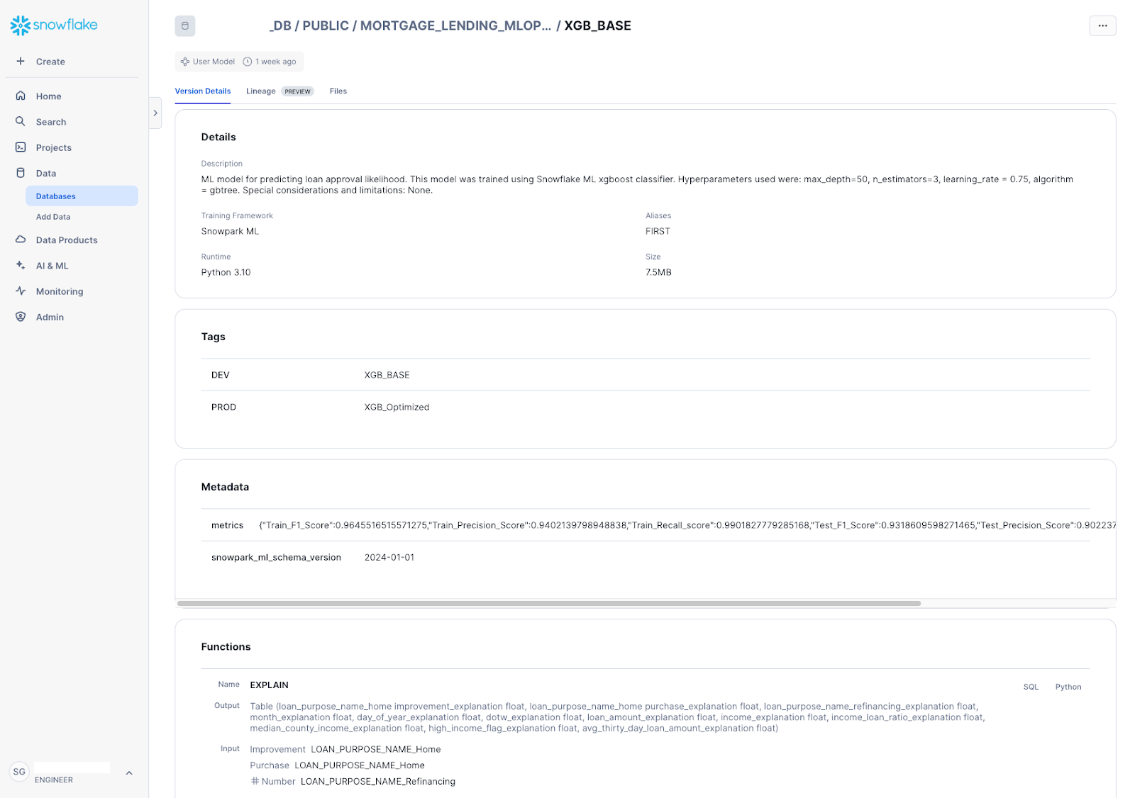 A model version details page, displaying information about the model version